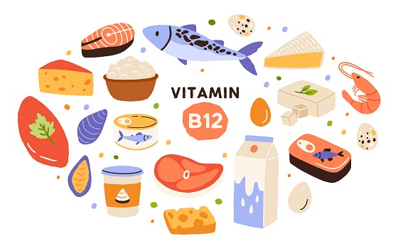 Alimente bogate in B12. Surse de vitamina B12