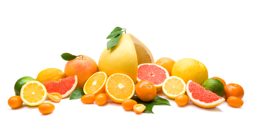 Extract din seminte de grapefruit - utilizari si beneficii