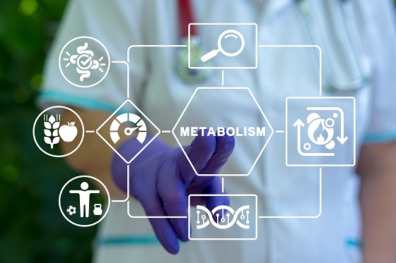 Metabolism rapid vs. metabolism lent: Ce inseamna si cum va afecteaza?