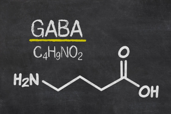 Acid gamma-aminobutiric (GABA): ce este, beneficii si contraindicatii