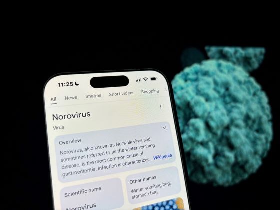 Virus Norwalk sau norovirus – mod de transmitere, simptome si tratament