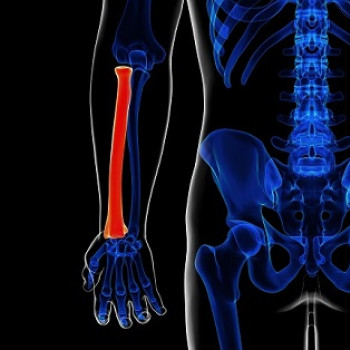 Totul despre osul radius: anatomie, functii si afectiuni