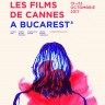 Catena sustine si anul acesta „Les Films de Cannes a Bucarest”