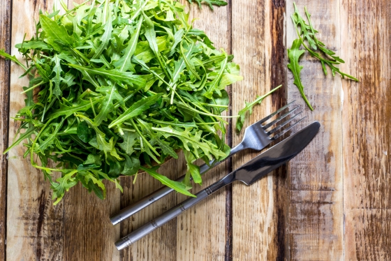 rucola-nutritie