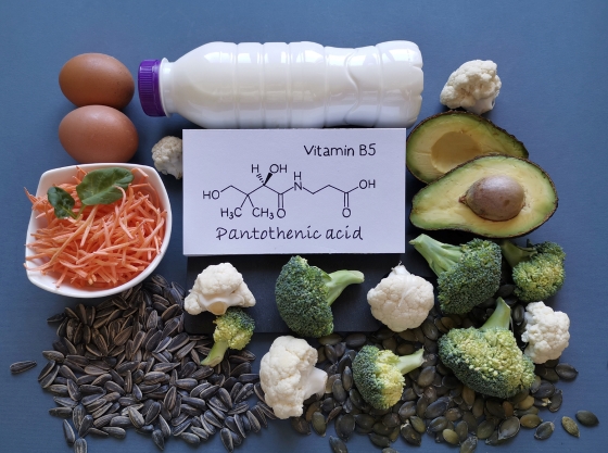 vitamina-b5-alimente