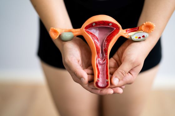 uter-fibromatos-sau-fibrom-uterin-cauze-simptome-si-tratament