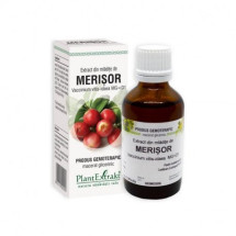 Extract din mladite de MERISOR X 50 ml